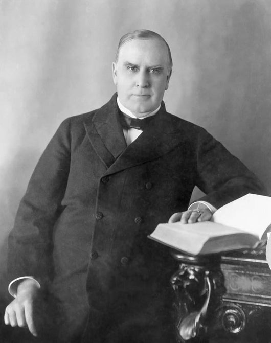 President William McKinley Seated Wall Decal Design 2