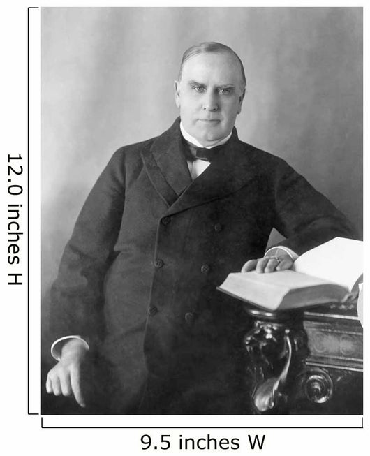 President William McKinley Seated Wall Decal Design 2