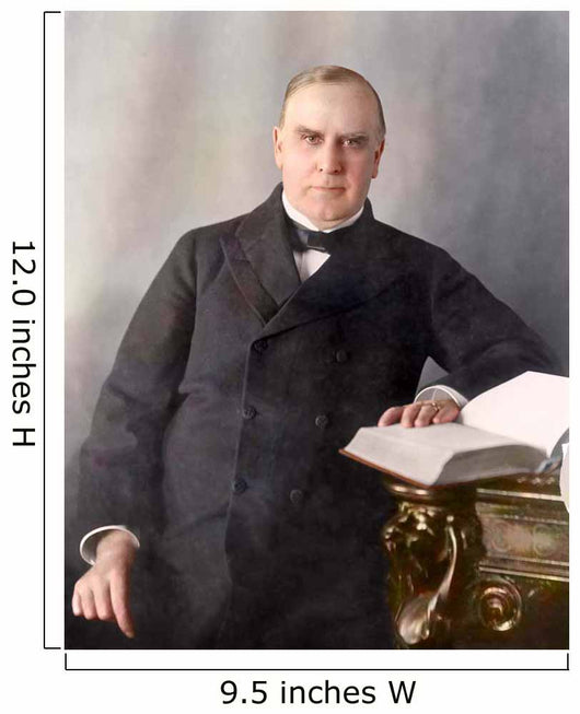 President William McKinley Seated Wall Decal Design 1