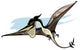 Illustration Pteranodon Dinosaur Wall Decal