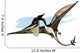 Illustration Pteranodon Dinosaur Wall Decal
