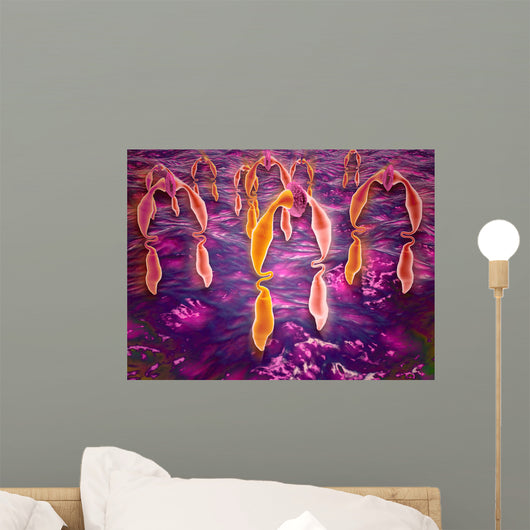 Microscopic Ligand Binding to Wall Decal