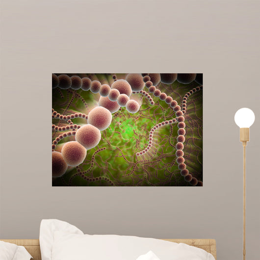 Microscopic Streptococcus Pneumoniae Wall Decal