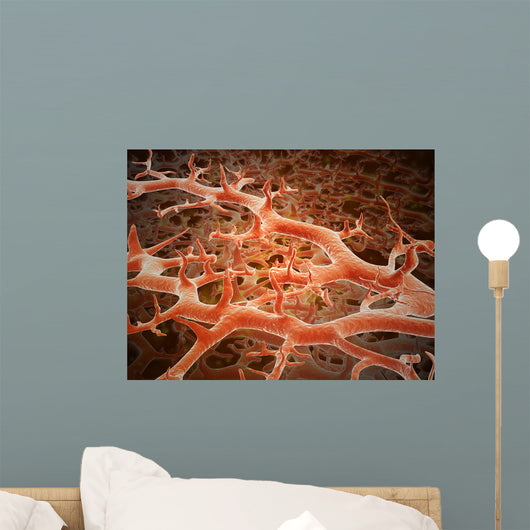 Microscopic Athlete's Foot Fungus Wall Decal