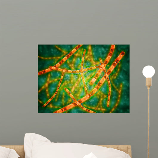 Microscopic Anthrax Wall Decal Design 2