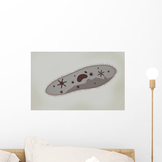 Microscopic Paramecium Wall Decal Design 2