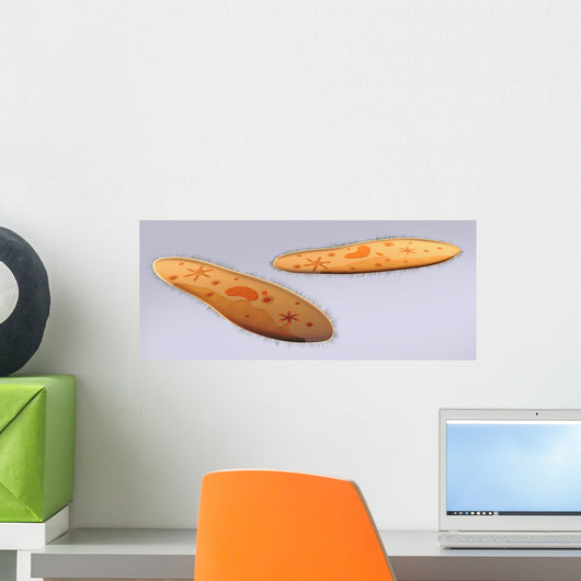 Microscopic Paramecium Wall Decal Design 1