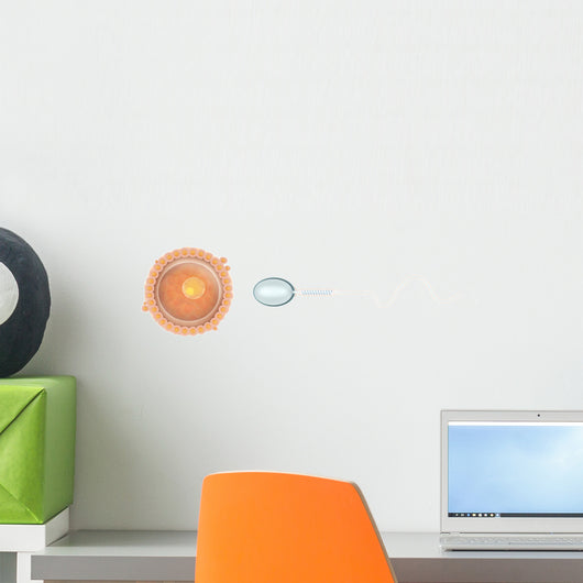 Medical Illustration Sperm and Wall Decal