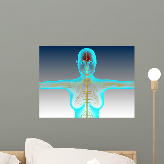 Conceptual Image Female Nervous Wall Decal Design 2