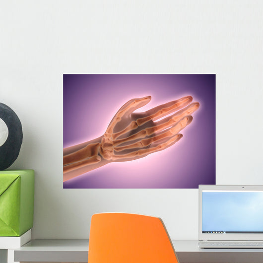 Conceptual Image Bones Human Wall Decal Design 2