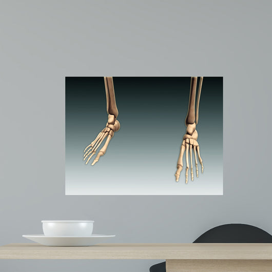 Conceptual Image Bones Human Wall Decal Design 1