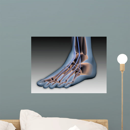 Conceptual Image Human Foot Wall Decal Design 1