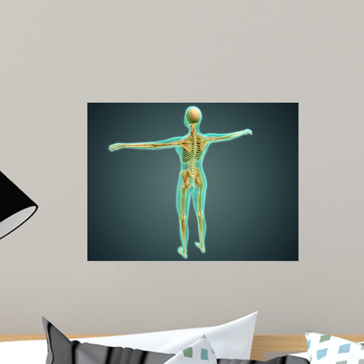 Human Body Showing Skeletal Wall Decal Design 1