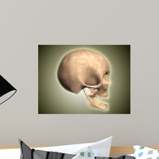 Conceptual Image Human Skull Wall Decal Design 4