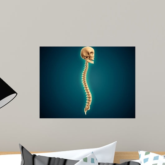 Conceptual Image Human Skull Wall Decal Design 3