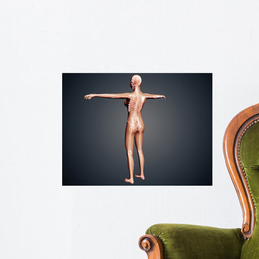 Back Female Body with Wall Decal