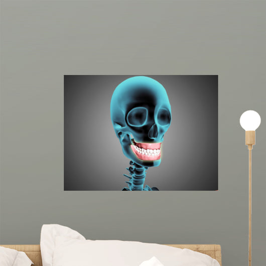 X-ray Human Skeleton Showing Wall Decal