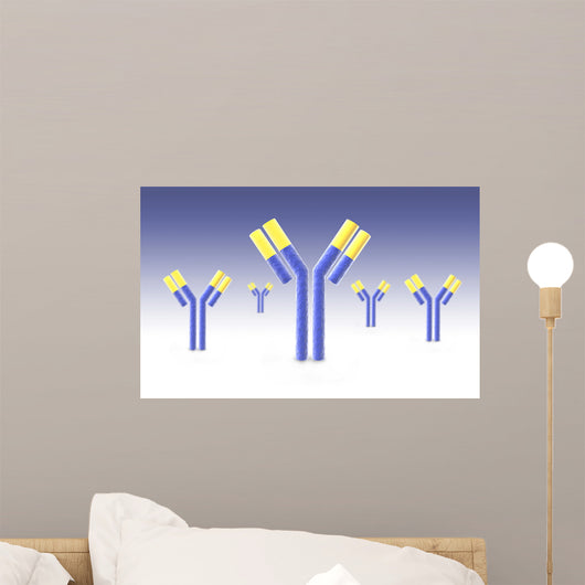 Conceptual Image Antibody Wall Decal