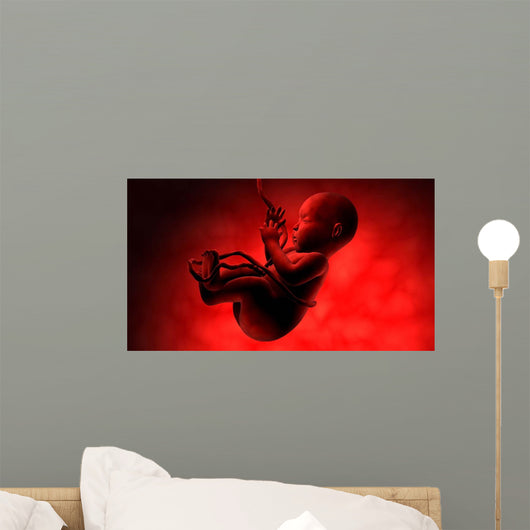 Fetus inside Womb Wall Decal Design 4