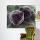 Microscopic Birch Tree Pollen Wall Decal