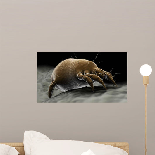 Microscopic Visualization Dust Mite Wall Decal Design 4
