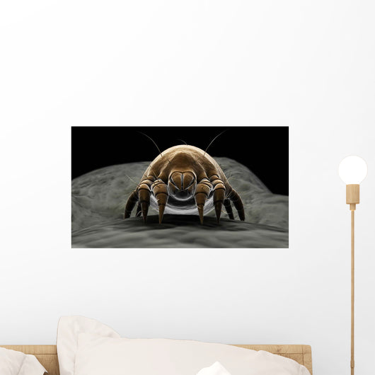 Microscopic Visualization Dust Mite Wall Decal Design 3