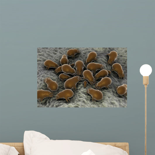 Microscopic Visualization Dust Mite Wall Decal Design 2