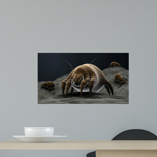 Microscopic Visualization Dust Mite Wall Decal Design 1