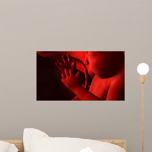 Fetus inside Womb Wall Decal Design 3