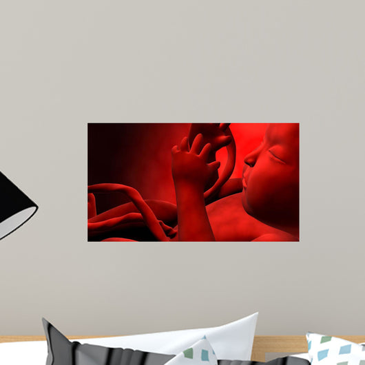 Fetus inside Womb Wall Decal Design 2