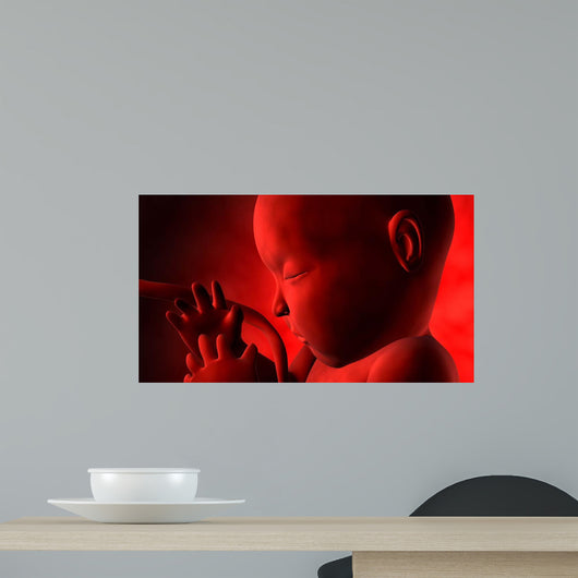 Fetus inside Womb Wall Decal Design 1