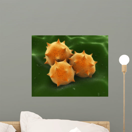 Microscopic Visualization Grass Pollen Wall Decal Design 2