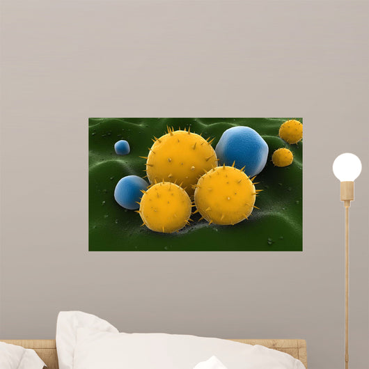 Microscopic Visualization Grass Pollen Wall Decal Design 1