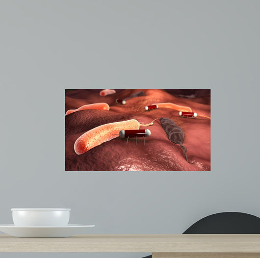 Nanobots Attacking Cholera Virus Wall Decal