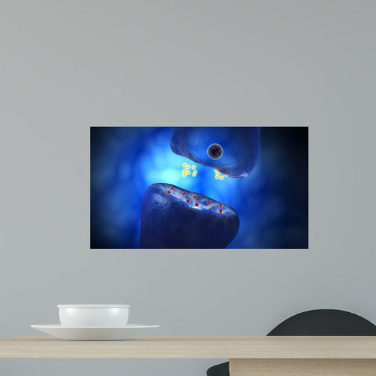 Conceptual Image Synaptic Transmission Wall Decal