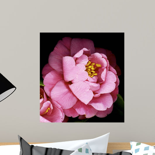 Camellia Wall Mural
