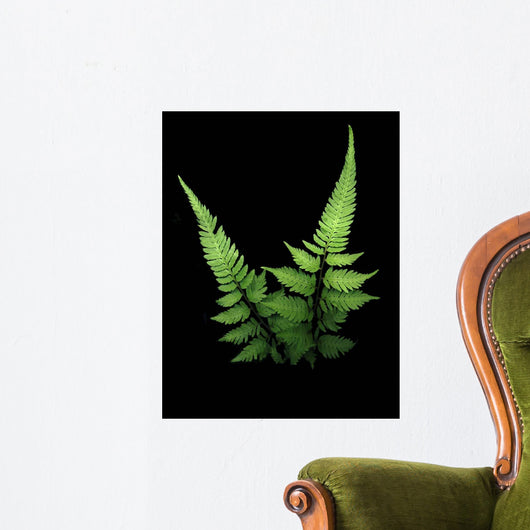 Fern Wall Mural