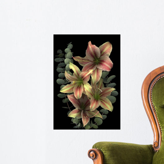 4 Red & White Amaryllis & Eucalyptus Wall Mural