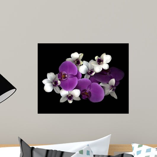Pink And White Orchids Wall Mural