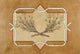 Birch Border Wall Decal