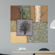White Birch Wall Decal