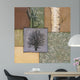 White Birch Wall Decal
