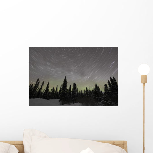 Star Trails Milky Way Wall Decal