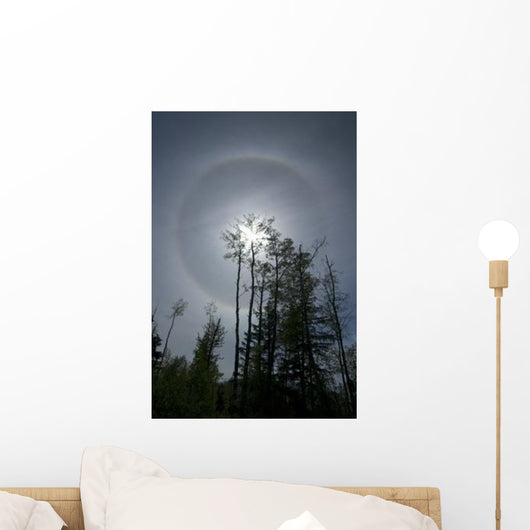 Solar Halo Wall Decal Design 1