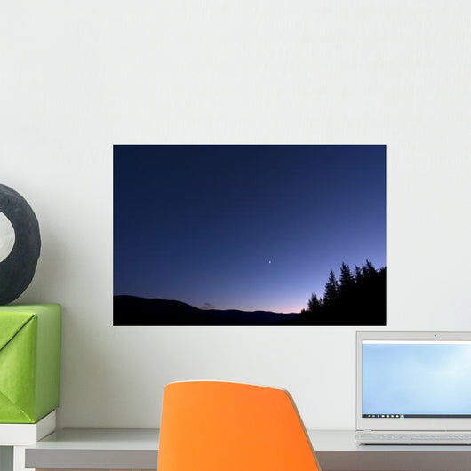 Moon Venus and Jupiter Wall Decal Design 3