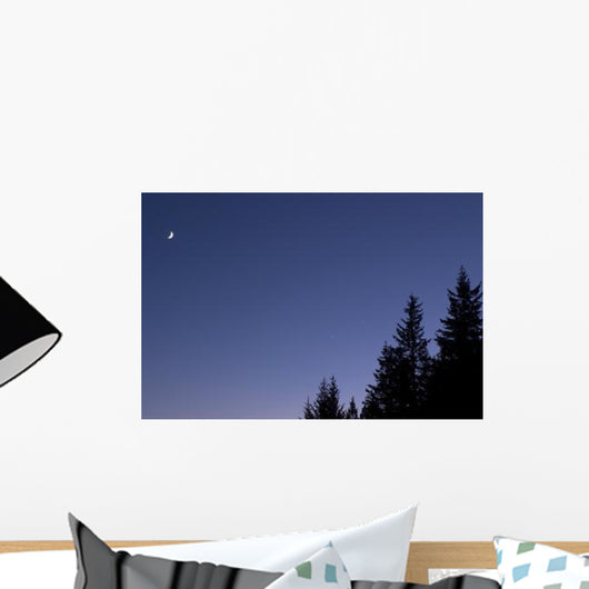 Moon Venus and Jupiter Wall Decal Design 2