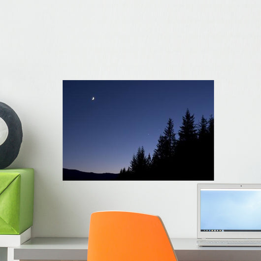 Moon Venus and Jupiter Wall Decal Design 1