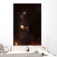 A Planet Illuminated Plasma Floating Wall Decal