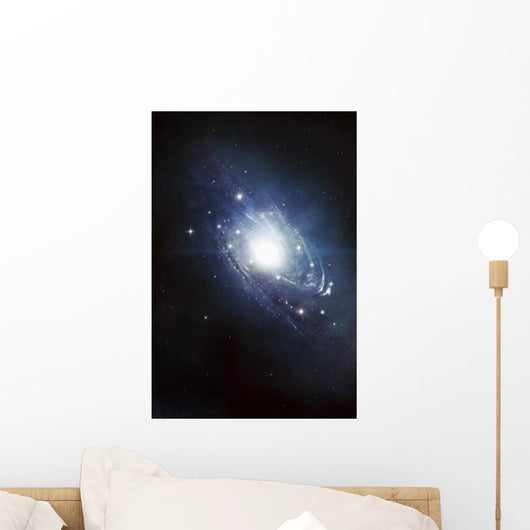 Artist's Concept Recently Discovered Wall Decal
