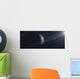 Gas Giant Orbiting Sirius Wall Decal